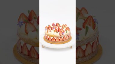 Fraisier Cake – A Strawberries & Cream Dream Dessert