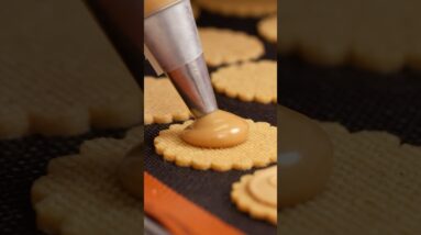 Gold Chocolate Butter Biscuits That Melt in Your Mouth!